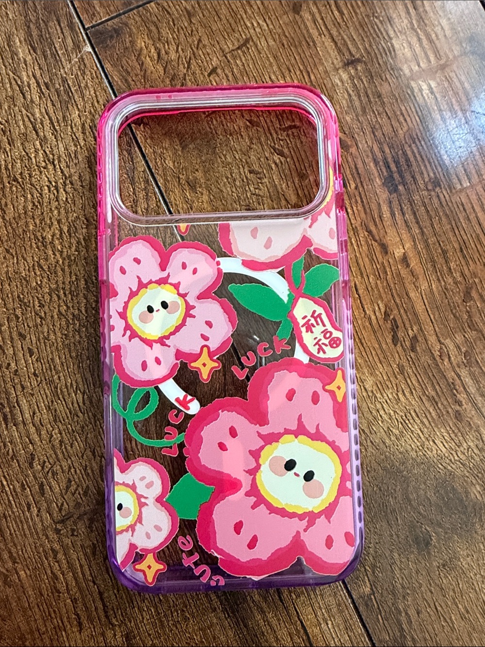 iPhone 17 pro max case